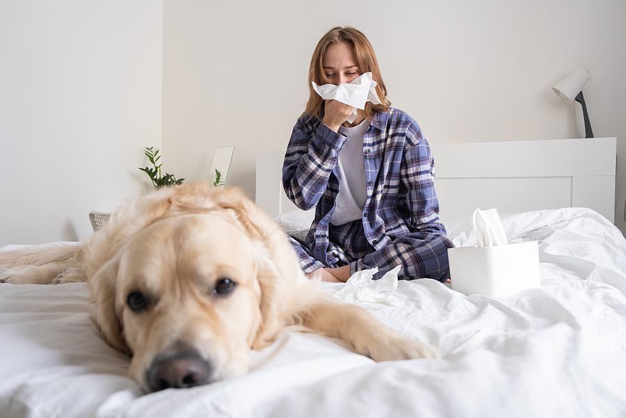 Indoor Air Quality Tips for Pet Owners
