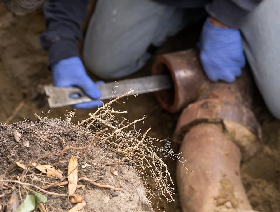 Signs You May Have a Damaged Sewer Line