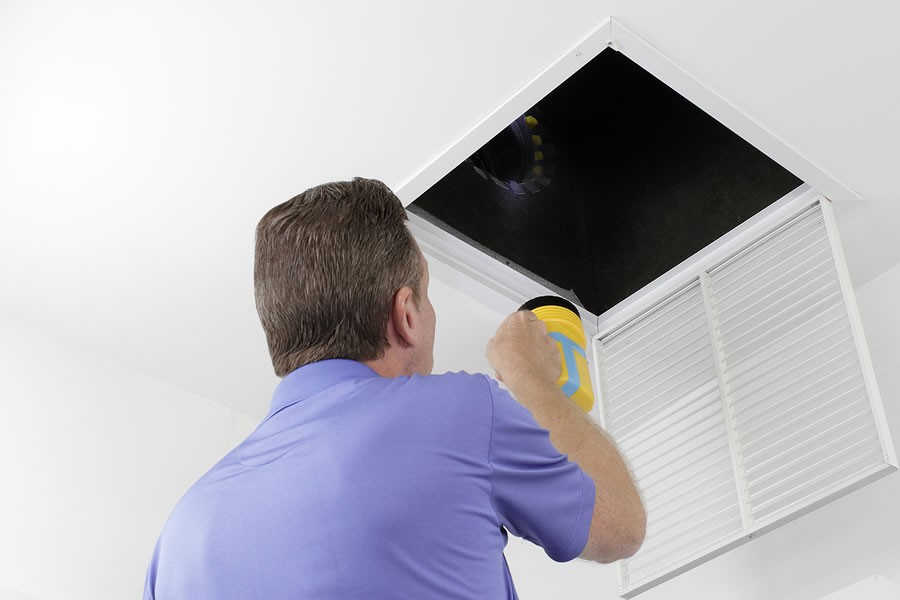 What Is Living In Your Vents? Improve The Air Quality In Your Home