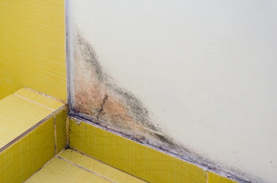Preventing Mold Growth In Your Bathroom